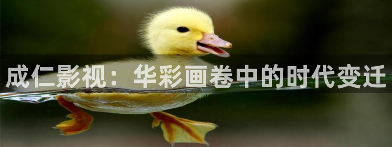99久久视频免费