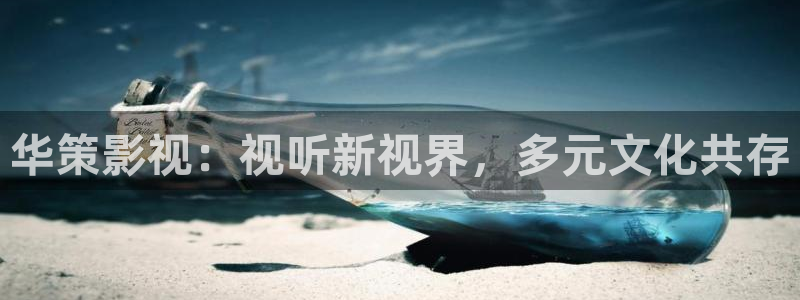 国产艳遇久久久久久久精品电影