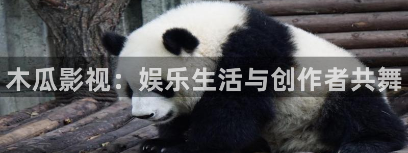 久久视频久久