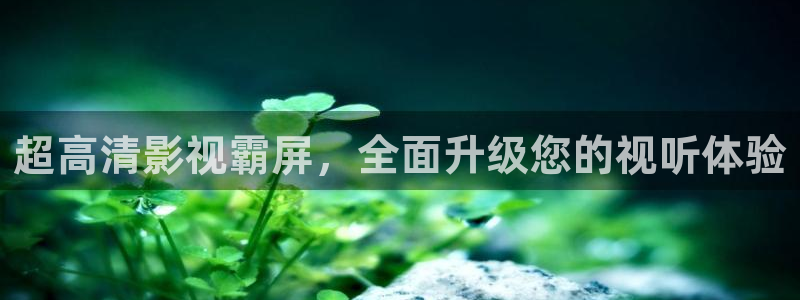 久久视频二区