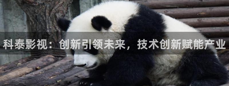 久久视频了