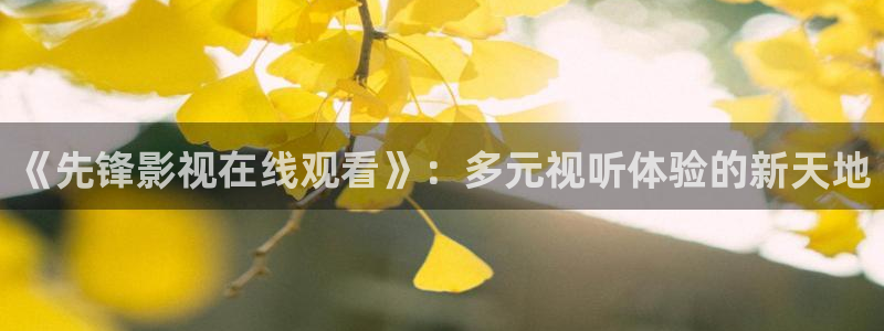 久久久电影免费看