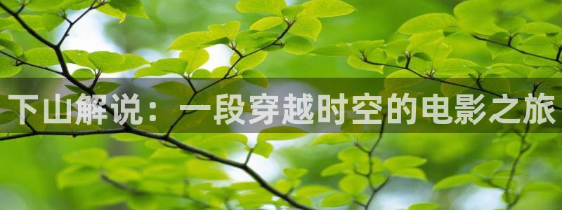 91精品国产高清久久久久