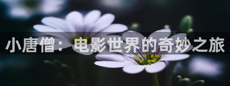 青久久久视频2019