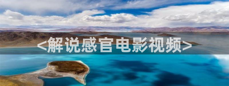 久久视频精品2