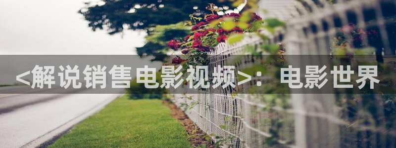 新闻图片