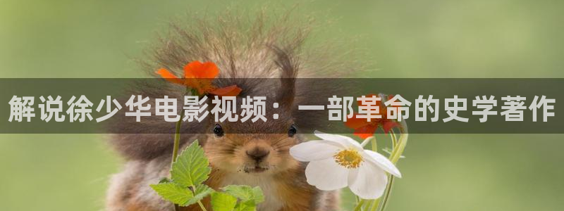 新闻图片