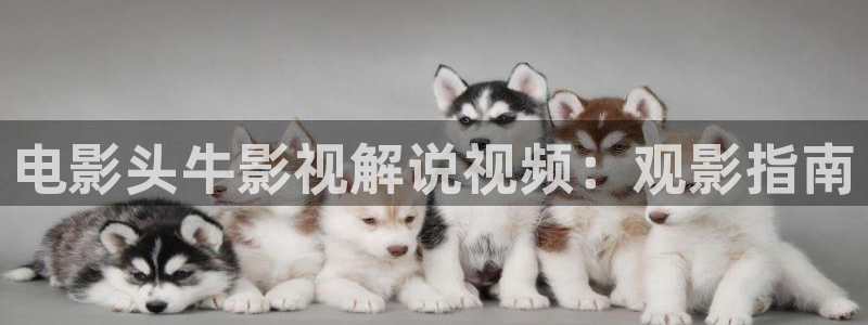 新闻图片
