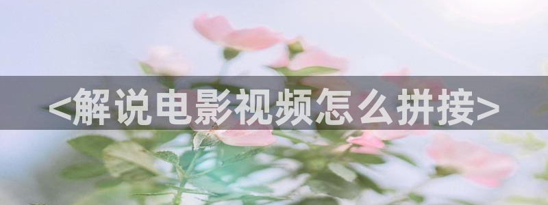 久久视频免费观看在线