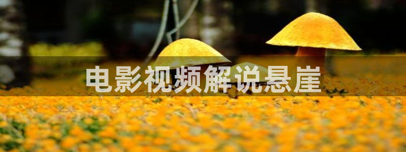 久久久久久久久久久精品电影