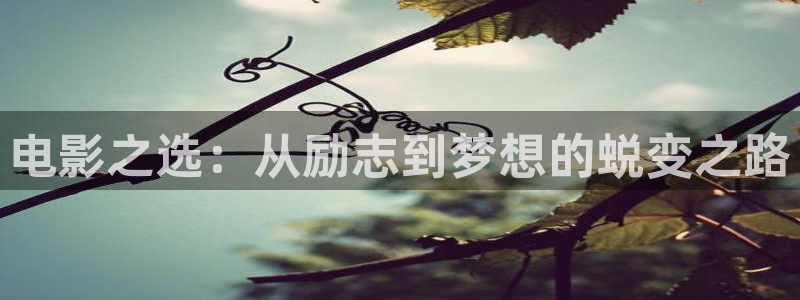 青青久久视频