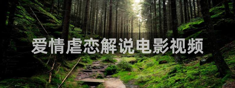 久久久久精品国产电影