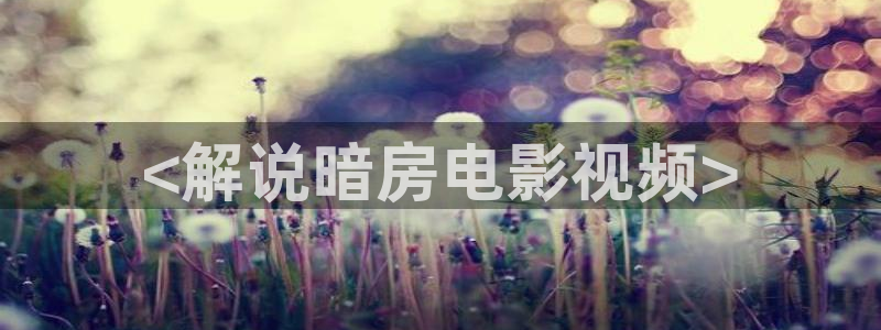 久久久国产影院