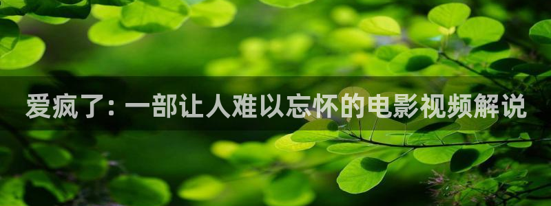 久久视频爱爱