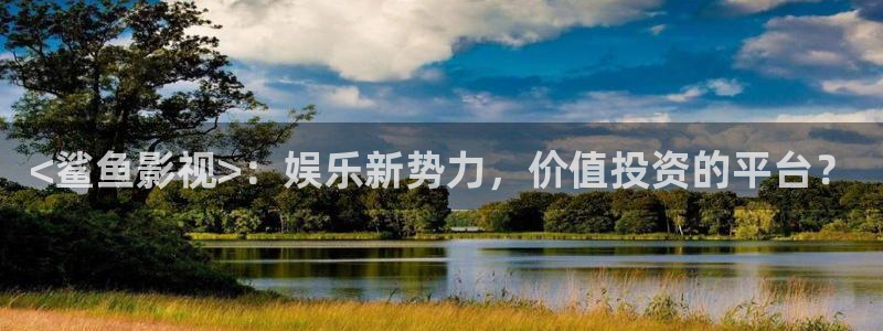 久久视频精品网