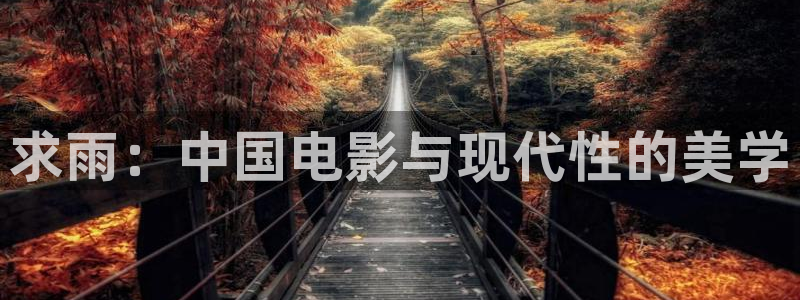 亚洲午夜精品久久久久久影院