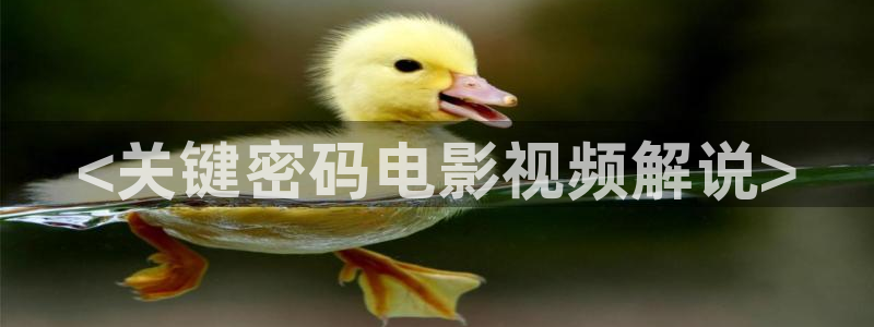 久久久久视频精品