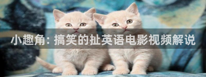 神马影院久久久久久