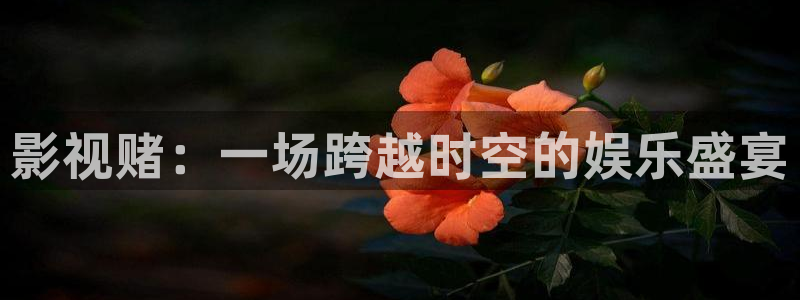 精品久久久久久影院