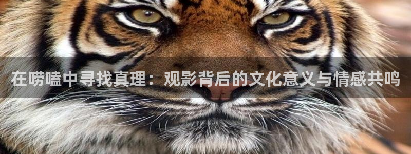 www,久久视频