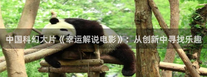 热久久视频在线观看