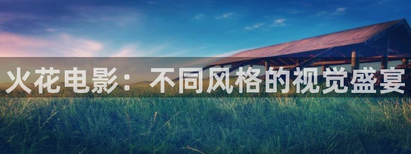 久久久久久97视频