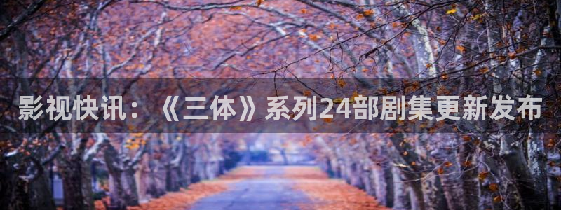 久久视频专区