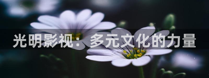 尤物久久视频