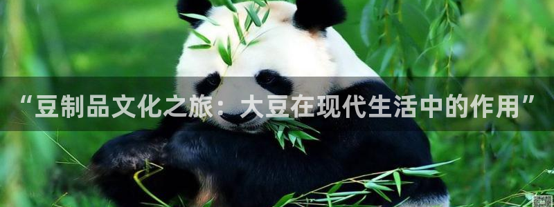 国内精品免费久久久久久电影院