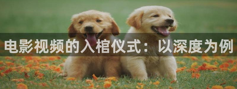 久久久电影在线