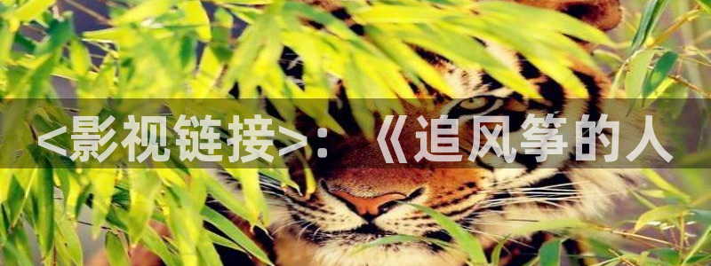 国产视频久久久久久久久