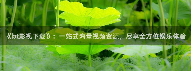 久久久久精品影视
