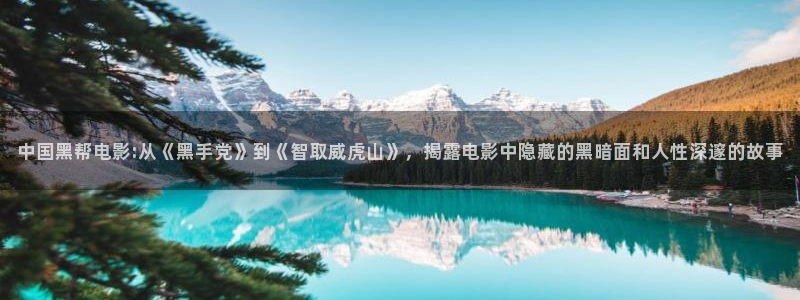 久久视频久久视频