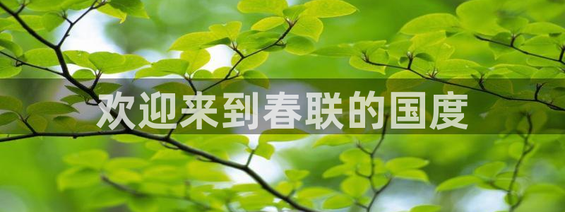精品久久视频在线观看